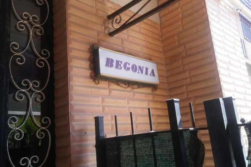 Aurelia - Apartment Begonia ローマ エクステリア 写真